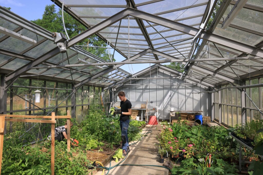 Agrandir l'image, fenêtre modale